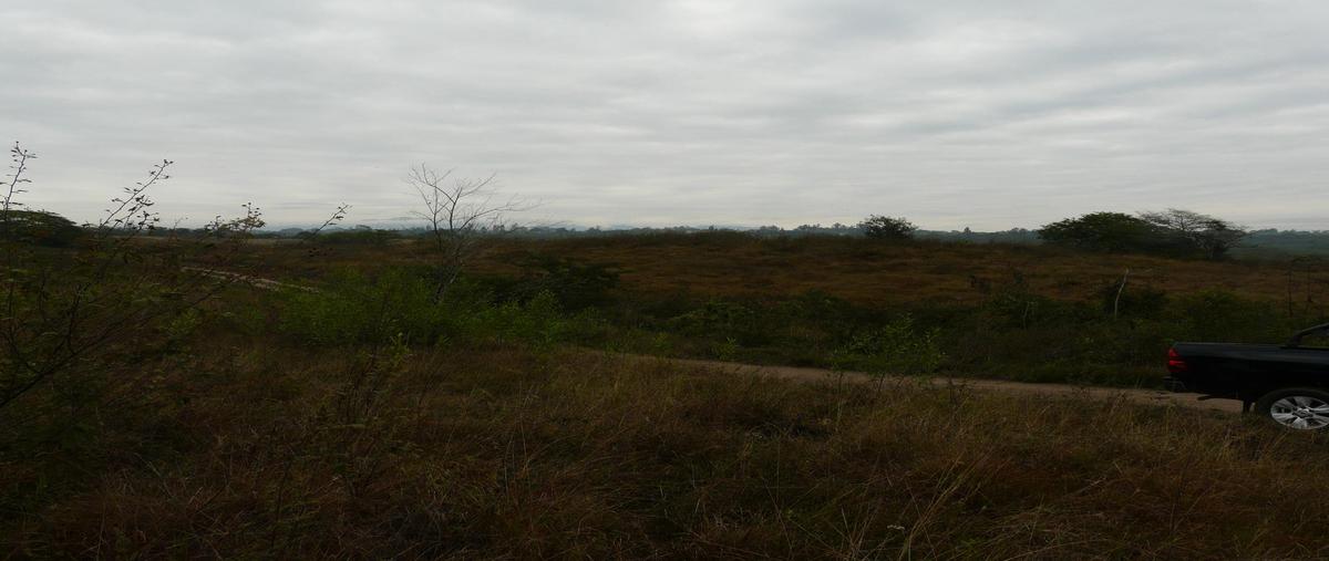 Foto de terreno habitacional en venta en  , emiliano zapata, emiliano zapata, veracruz de ignacio de la llave, 0 No. 05