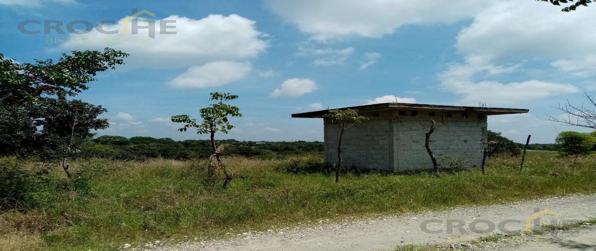 Foto de terreno habitacional en venta en  , emiliano zapata, emiliano zapata, veracruz de ignacio de la llave, 0 No. 04