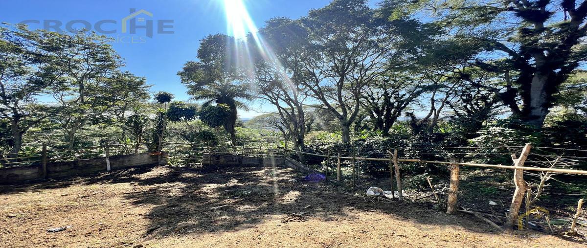 Foto de terreno habitacional en venta en  , emiliano zapata, emiliano zapata, veracruz de ignacio de la llave, 0 No. 05