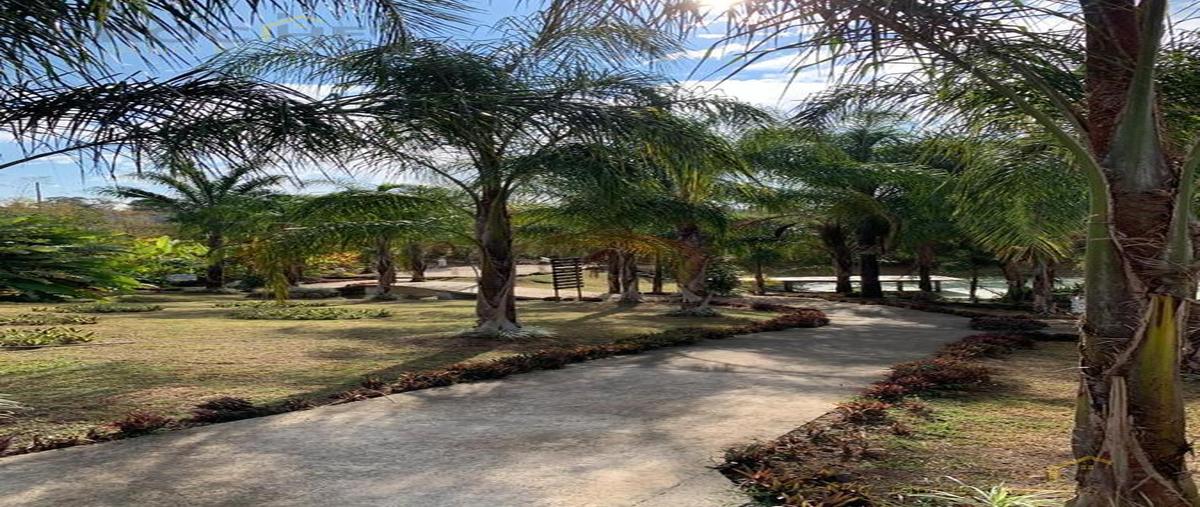 Foto de terreno habitacional en venta en  , emiliano zapata, emiliano zapata, veracruz de ignacio de la llave, 0 No. 03