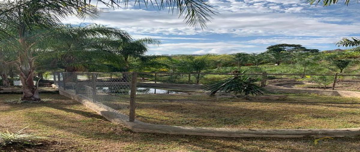 Foto de terreno habitacional en venta en  , emiliano zapata, emiliano zapata, veracruz de ignacio de la llave, 0 No. 04