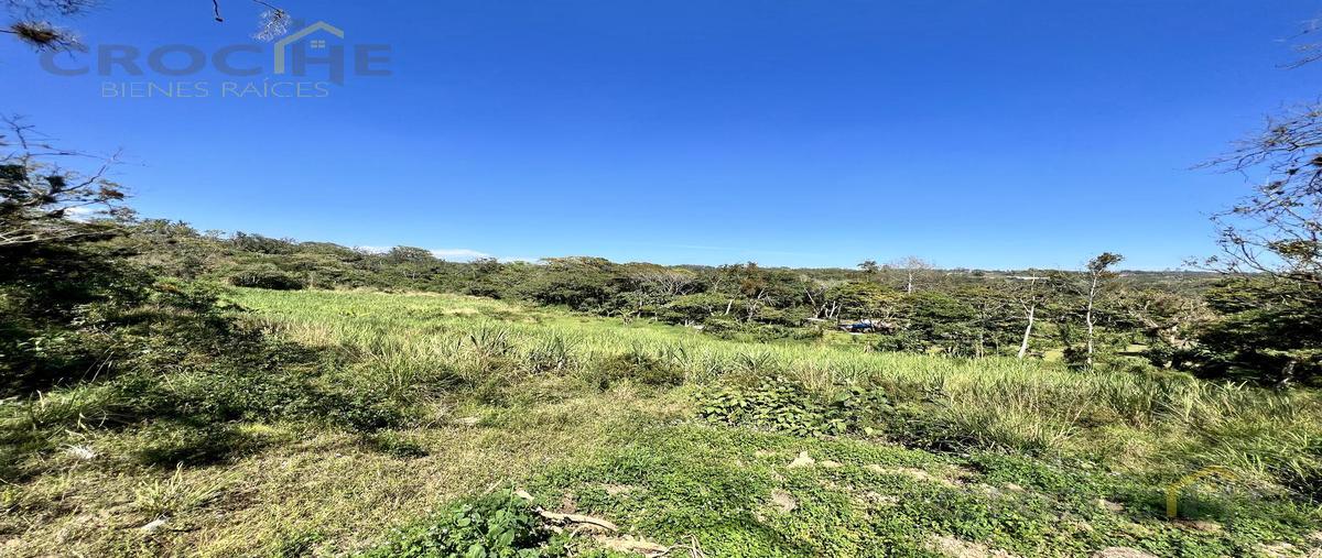 Foto de terreno habitacional en venta en  , emiliano zapata, emiliano zapata, veracruz de ignacio de la llave, 0 No. 04