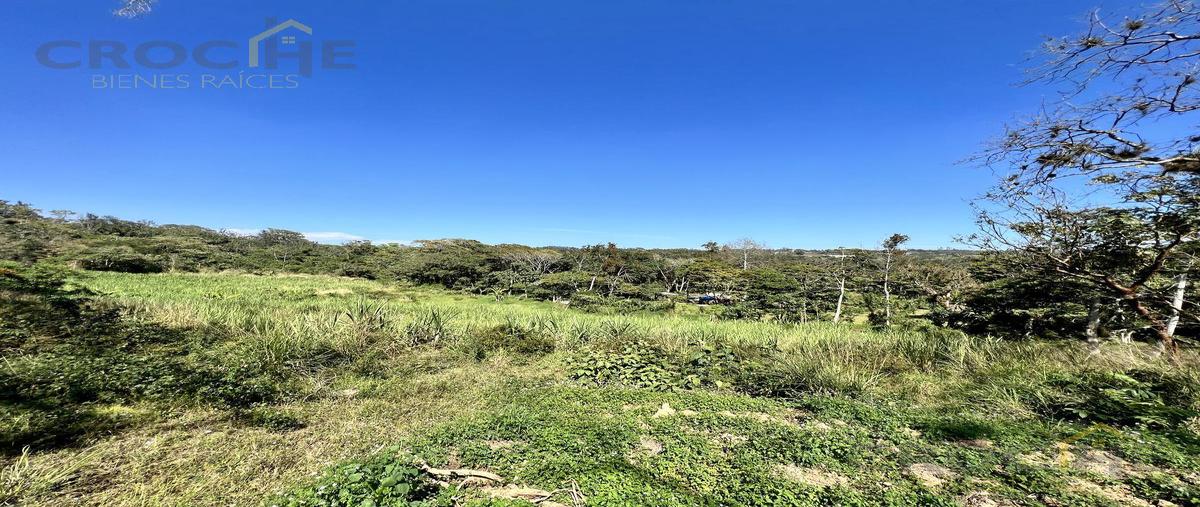 Foto de terreno habitacional en venta en  , emiliano zapata, emiliano zapata, veracruz de ignacio de la llave, 0 No. 05