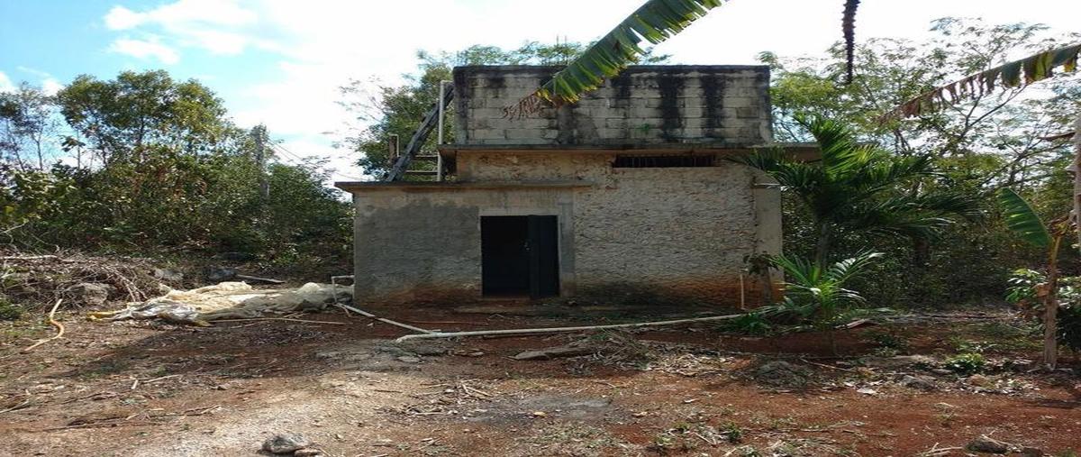 Foto de terreno habitacional en venta en  , emiliano zapata, felipe carrillo puerto, quintana roo, 30299123 No. 03
