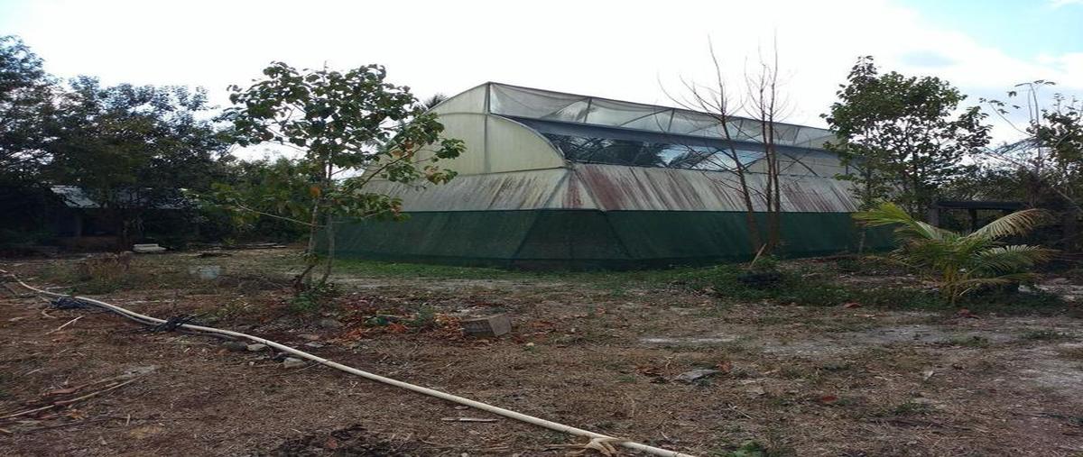 Foto de terreno habitacional en venta en  , emiliano zapata, felipe carrillo puerto, quintana roo, 30299123 No. 05