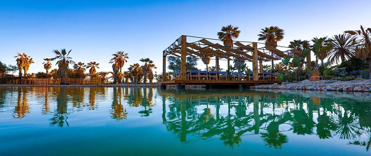Foto de local en venta en emiliano zapata , francisco zarco (valle de guadalupe), ensenada, baja california, 0 No. 03