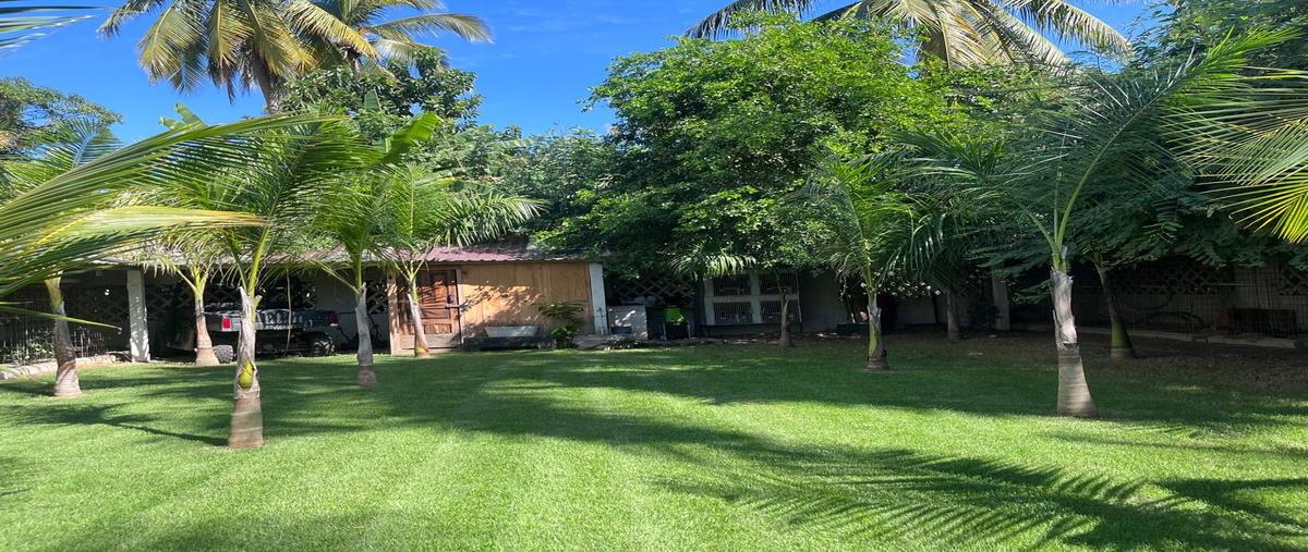 Foto de casa en venta en emiliano zapata , lo de marcos, bahía de banderas, nayarit, 30247479 No. 05