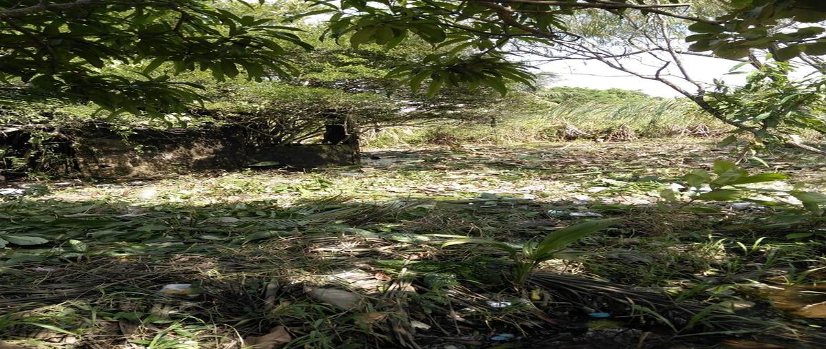Foto de terreno habitacional en venta en emiliano zapata manzana 48 l-29 , estero del pantano, cosoleacaque, veracruz de ignacio de la llave, 25054297 No. 02