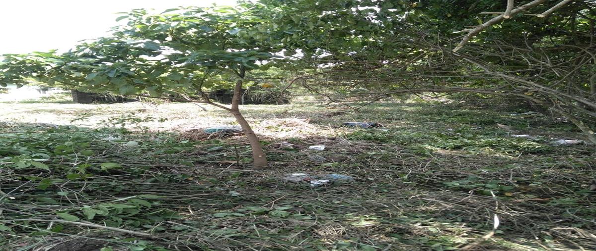 Foto de terreno habitacional en venta en emiliano zapata manzana 48 l-29 , estero del pantano, cosoleacaque, veracruz de ignacio de la llave, 25054297 No. 03