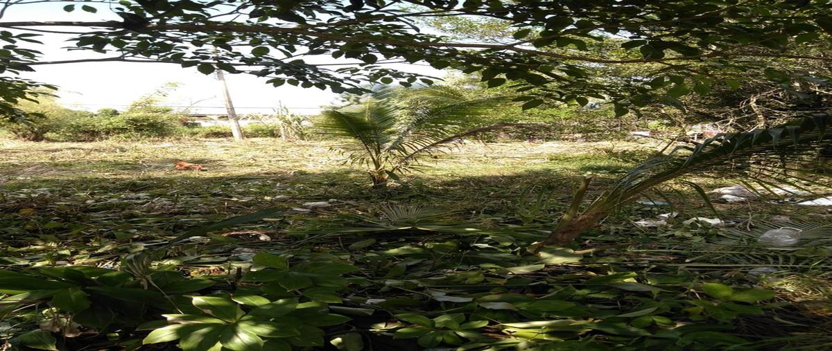 Foto de terreno habitacional en venta en emiliano zapata manzana 48 l-29 , estero del pantano, cosoleacaque, veracruz de ignacio de la llave, 25054297 No. 04