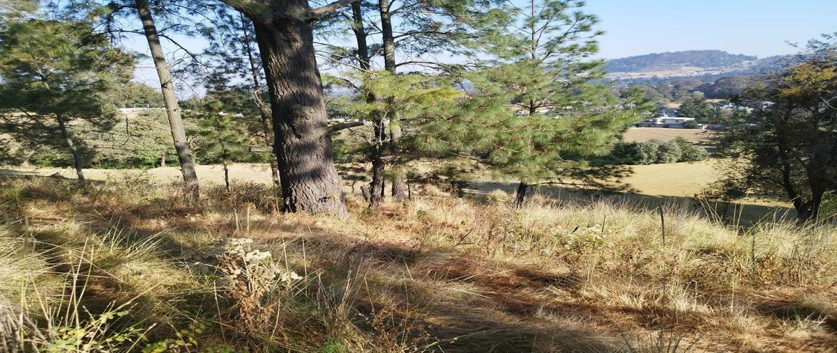 Foto de terreno habitacional en venta en emiliano zapata , mezapa la fábrica, xalatlaco, méxico, 0 No. 04