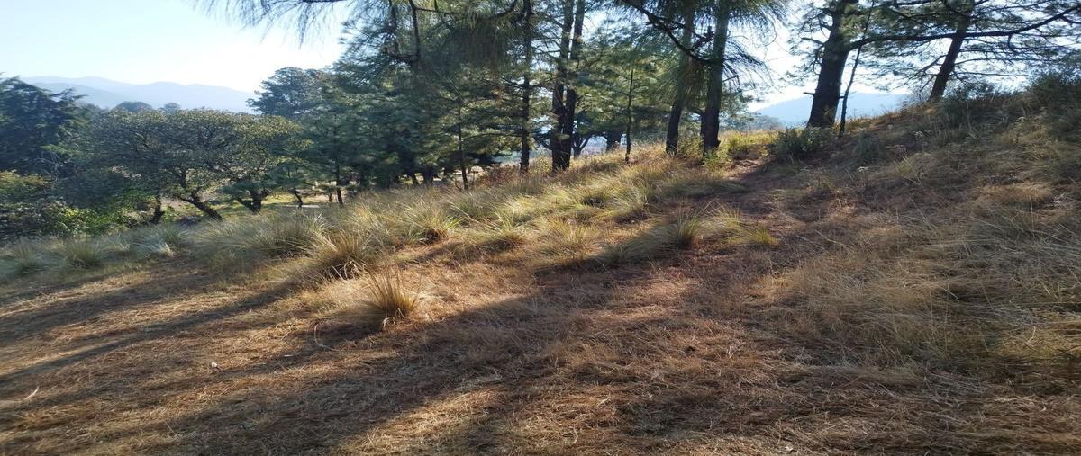 Foto de terreno habitacional en venta en emiliano zapata , mezapa la fábrica, xalatlaco, méxico, 0 No. 05