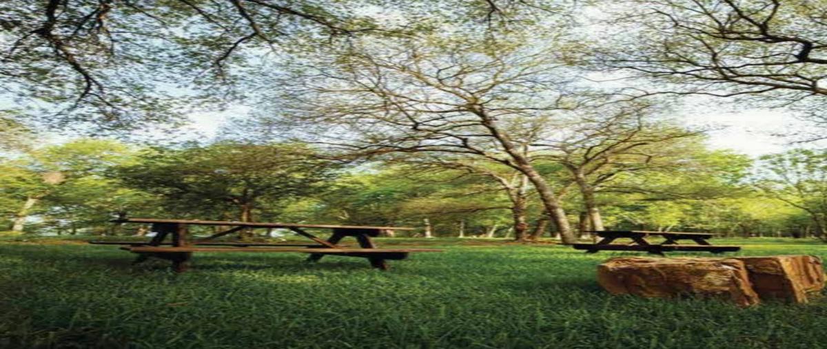 Foto de terreno habitacional en venta en  , emiliano zapata, montemorelos, nuevo león, 30886383 No. 04