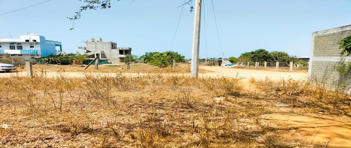 Foto de terreno habitacional en emiliano zapata , puerto escondido (puerto escondido), san pedro mixtepec -dto. 22 -, oaxaca, 28178132 foto 05 Foto de terreno habitacional en venta en emiliano zapata , puerto escondido (puerto escondido), san pedro mixtepec -dto. 22 -, oaxaca, 28178132 No. 05