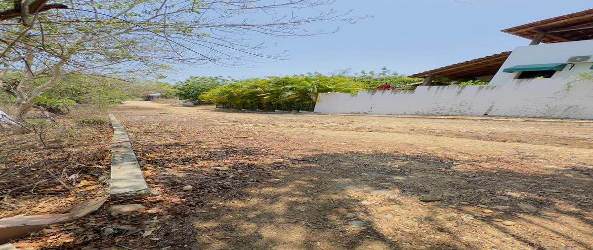 Foto de terreno habitacional en venta en emiliano zapata , puerto escondido (puerto escondido), san pedro mixtepec -dto. 22 -, oaxaca, 0 No. 04