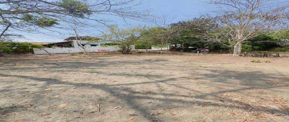 Foto de terreno habitacional en venta en emiliano zapata , puerto escondido (puerto escondido), san pedro mixtepec -dto. 22 -, oaxaca, 0 No. 05