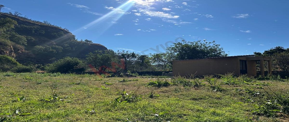 Foto de terreno habitacional en venta en emiliano zapata , santo domingo, tepoztlán, morelos, 0 No. 05