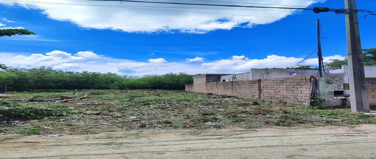 Foto de terreno habitacional en venta en  , emiliano zapata sur, mérida, yucatán, 0 No. 04