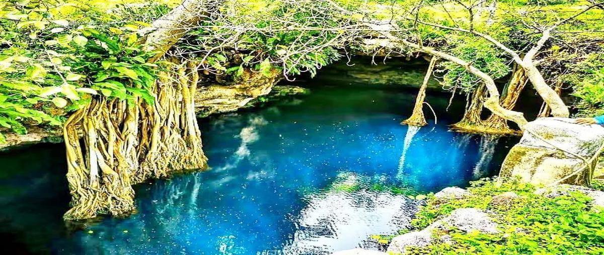 Foto de terreno habitacional en venta en  , emiliano zapata, valladolid, yucatán, 26742906 No. 03