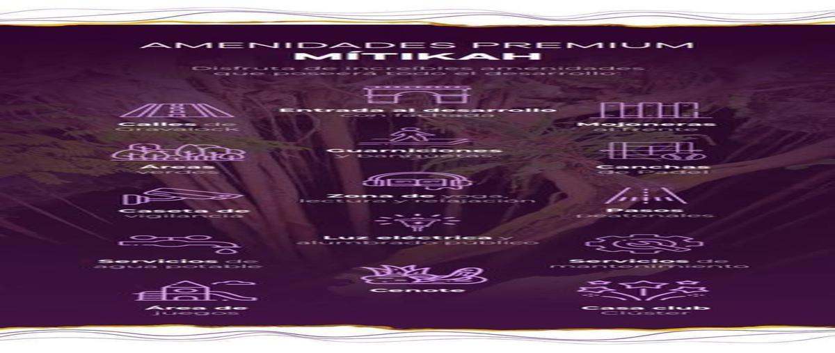 Foto de terreno habitacional en venta en  , emiliano zapata, valladolid, yucatán, 26742906 No. 05