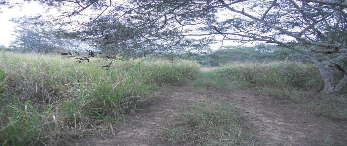 Foto de terreno comercial en venta en  , emiliano zapata, veracruz, veracruz de ignacio de la llave, 30298393 No. 03