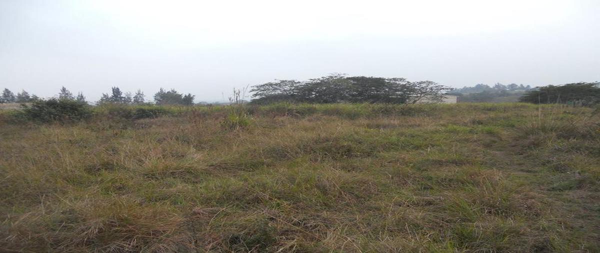 Foto de terreno comercial en venta en  , emiliano zapata, veracruz, veracruz de ignacio de la llave, 30298393 No. 05