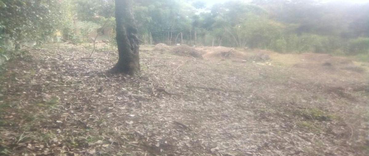 Foto de terreno habitacional en venta en  , emiliano zapata, xalapa, veracruz de ignacio de la llave, 11300167 No. 03