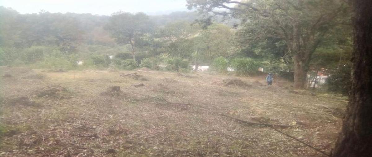 Foto de terreno habitacional en venta en  , emiliano zapata, xalapa, veracruz de ignacio de la llave, 11300167 No. 05