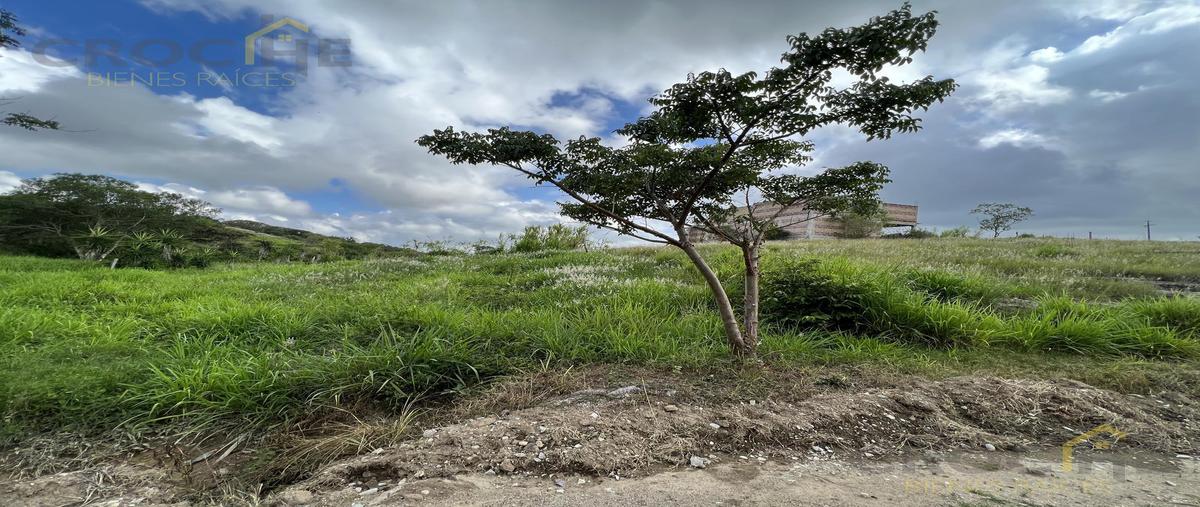 Foto de terreno habitacional en venta en  , emiliano zapata, xalapa, veracruz de ignacio de la llave, 0 No. 05