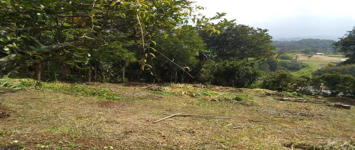Foto de terreno habitacional en venta en  , emiliano zapata, xalapa, veracruz de ignacio de la llave, 6697781 No. 04