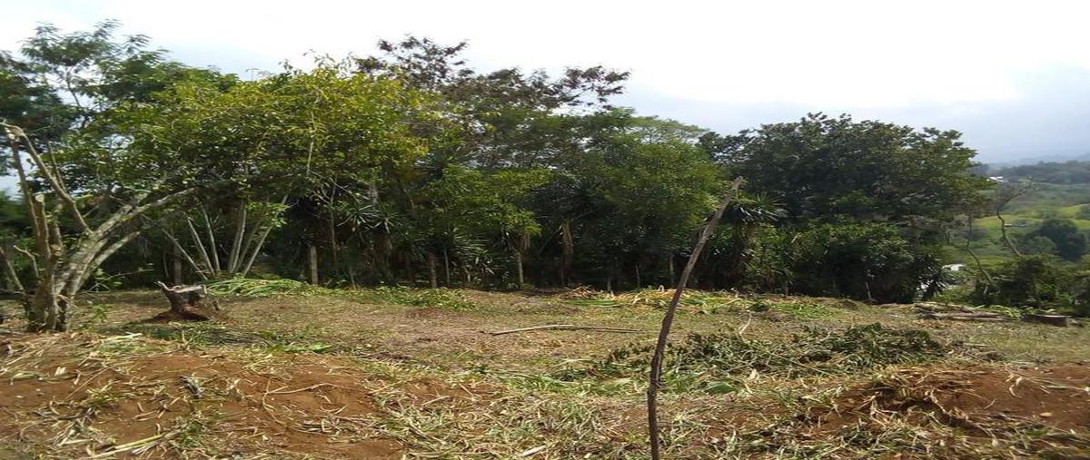 Foto de terreno habitacional en venta en  , emiliano zapata, xalapa, veracruz de ignacio de la llave, 6697781 No. 05