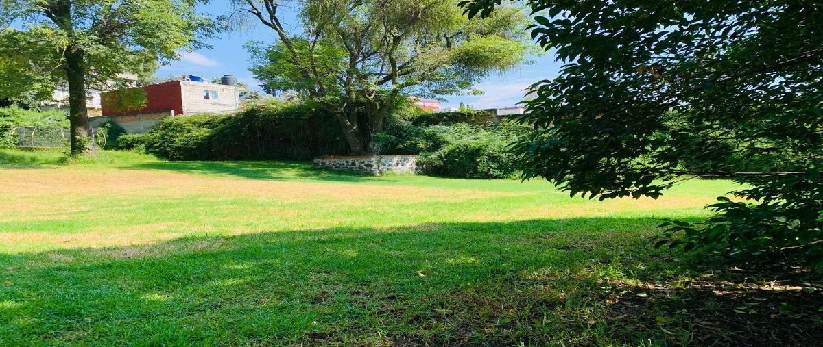 Foto de terreno comercial en renta en emilio carranza , la magdalena, la magdalena contreras, df / cdmx, 27239300 No. 05