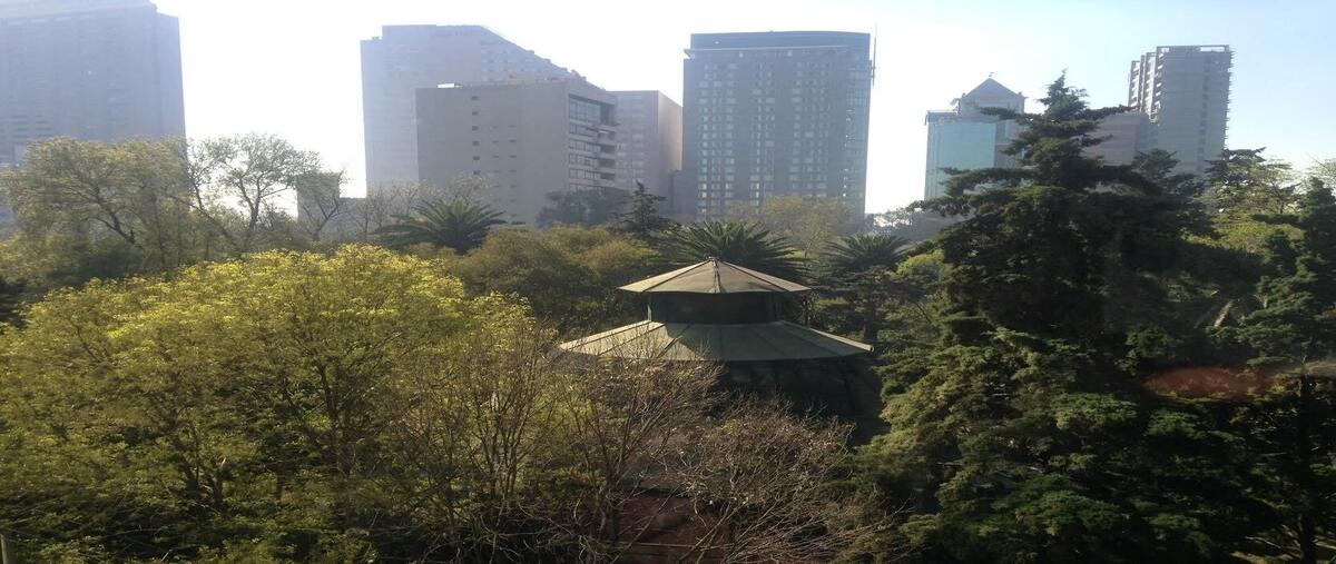 Foto de departamento en renta en emilio castelar , polanco iv sección, miguel hidalgo, df / cdmx, 0 No. 05