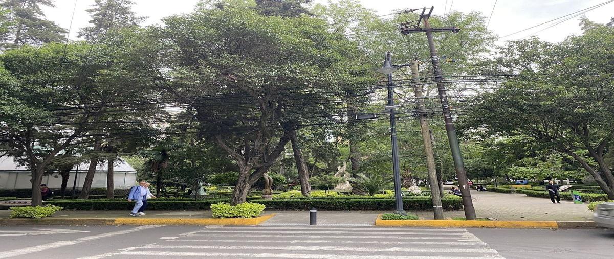 Foto de departamento en venta en emilio castelar , polanco iv sección, miguel hidalgo, df / cdmx, 0 No. 05