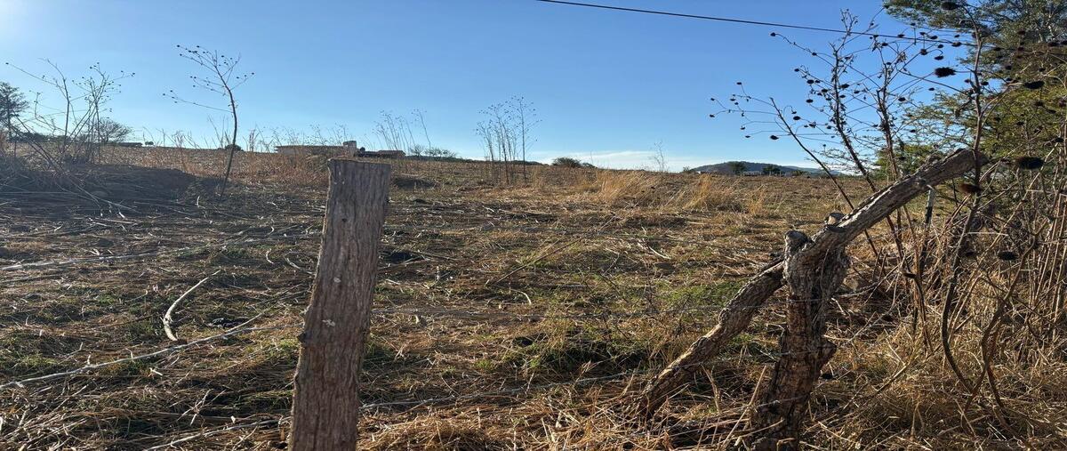 Foto de terreno habitacional en venta en en la estanzuela sobre carretera ameca-mascota , guachinango, guachinango, jalisco, 29387781 No. 03