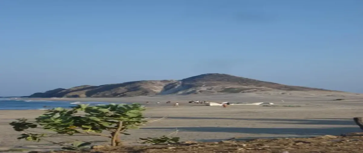 Foto de terreno habitacional en en playa guelaguichi 48, miguel hidalgo, santo domingo tehuantepec, oaxaca, 0 foto 03 Foto de terreno habitacional en venta en en playa guelaguichi 48, miguel hidalgo, santo domingo tehuantepec, oaxaca, 0 No. 03