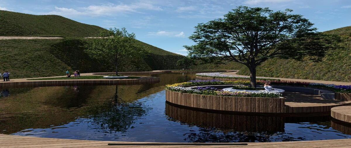 Foto de terreno habitacional en venta en encanto del valle , francisco zarco (valle de guadalupe), ensenada, baja california, 29371078 No. 05