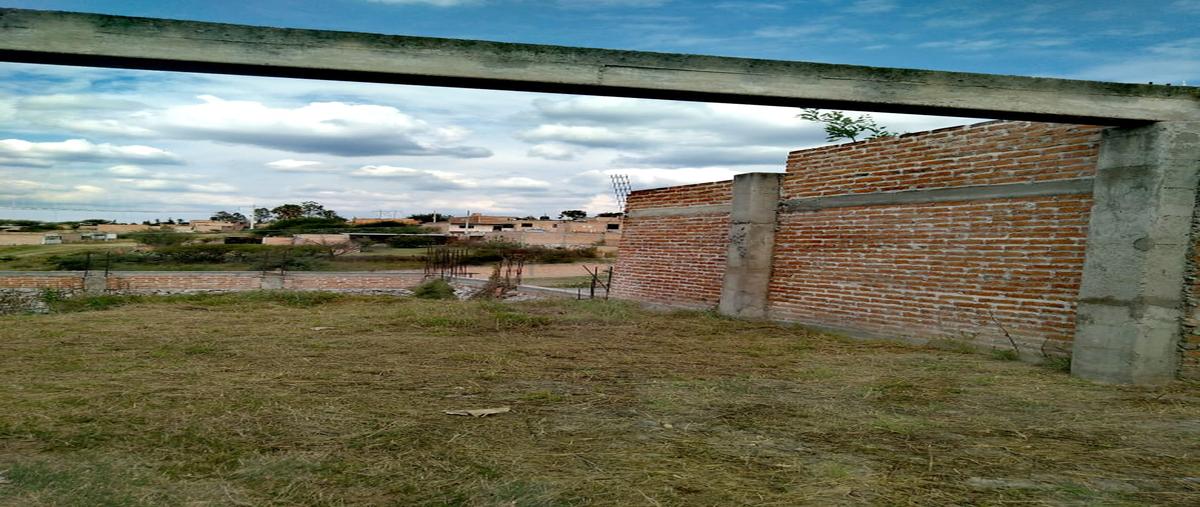 Foto de terreno habitacional en , encarnación de diaz, encarnación de díaz, jalisco, 27776064 foto 03 Foto de terreno habitacional en venta en , encarnación de diaz, encarnación de díaz, jalisco, 27776064 No. 03