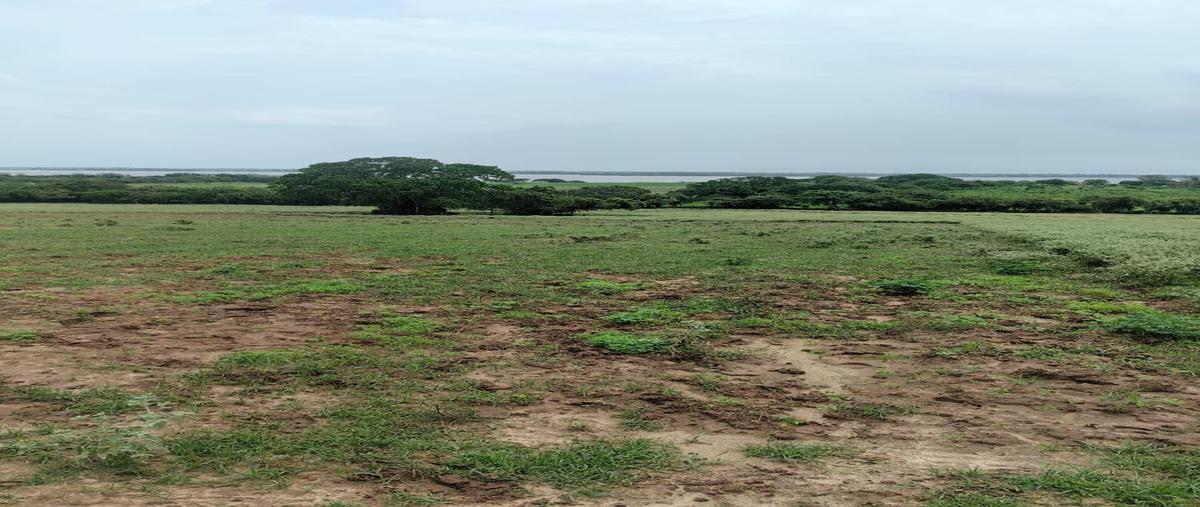 Foto de terreno habitacional en venta en  , encinal y mesa, ozuluama de mascareñas, veracruz de ignacio de la llave, 29947300 No. 03