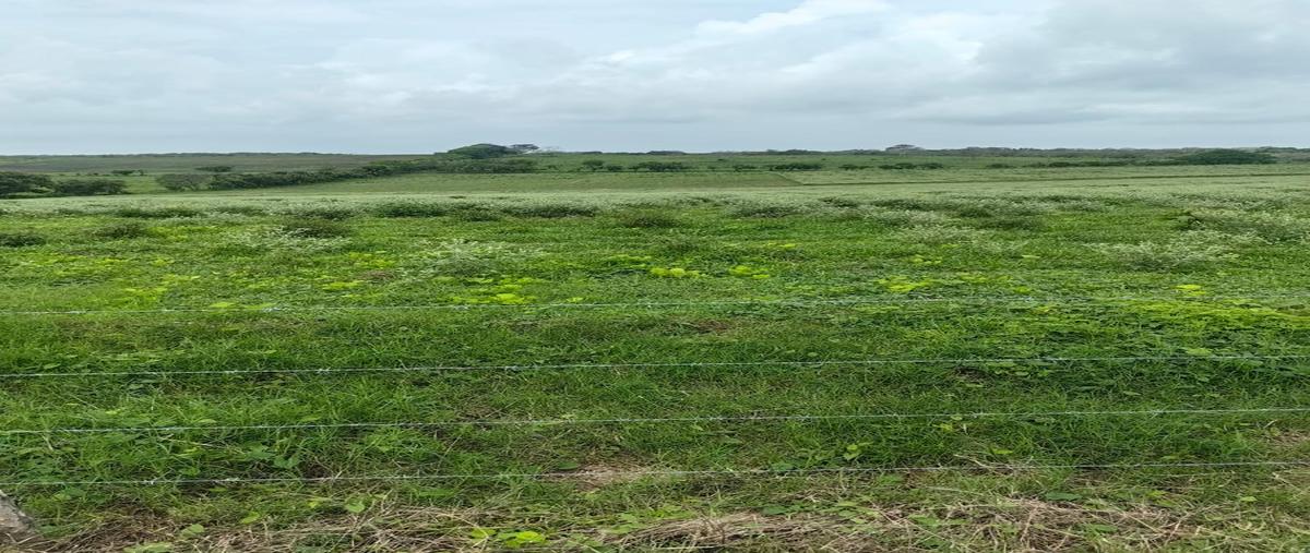 Foto de terreno habitacional en venta en  , encinal y mesa, ozuluama de mascareñas, veracruz de ignacio de la llave, 29947301 No. 03