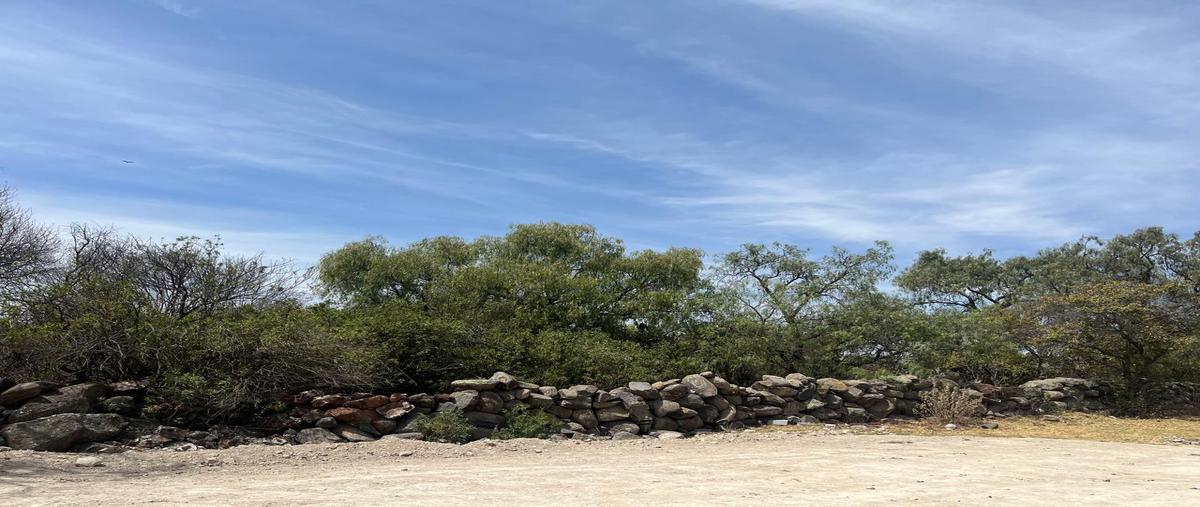 Foto de terreno habitacional en venta en  , encinillas, polotitlán, méxico, 0 No. 04