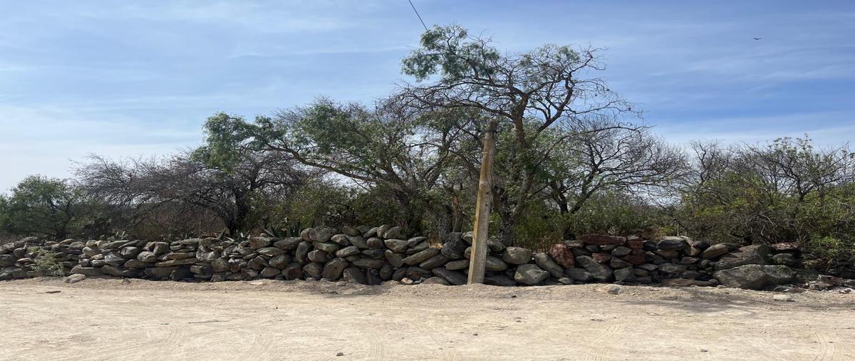 Foto de terreno habitacional en venta en  , encinillas, polotitlán, méxico, 0 No. 05