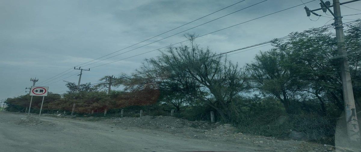 Foto de terreno habitacional en encino , gloria mendiola, general escobedo, nuevo león, 30767180 foto 04 Foto de terreno habitacional en venta en encino , gloria mendiola, general escobedo, nuevo león, 30767180 No. 04