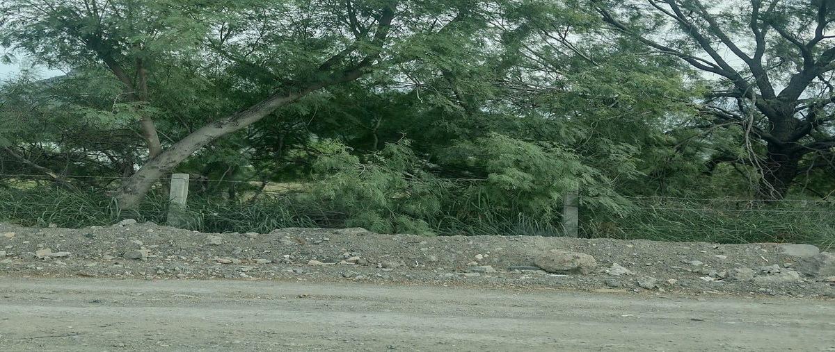 Foto de terreno habitacional en encino , gloria mendiola, general escobedo, nuevo león, 30767180 foto 05 Foto de terreno habitacional en venta en encino , gloria mendiola, general escobedo, nuevo león, 30767180 No. 05