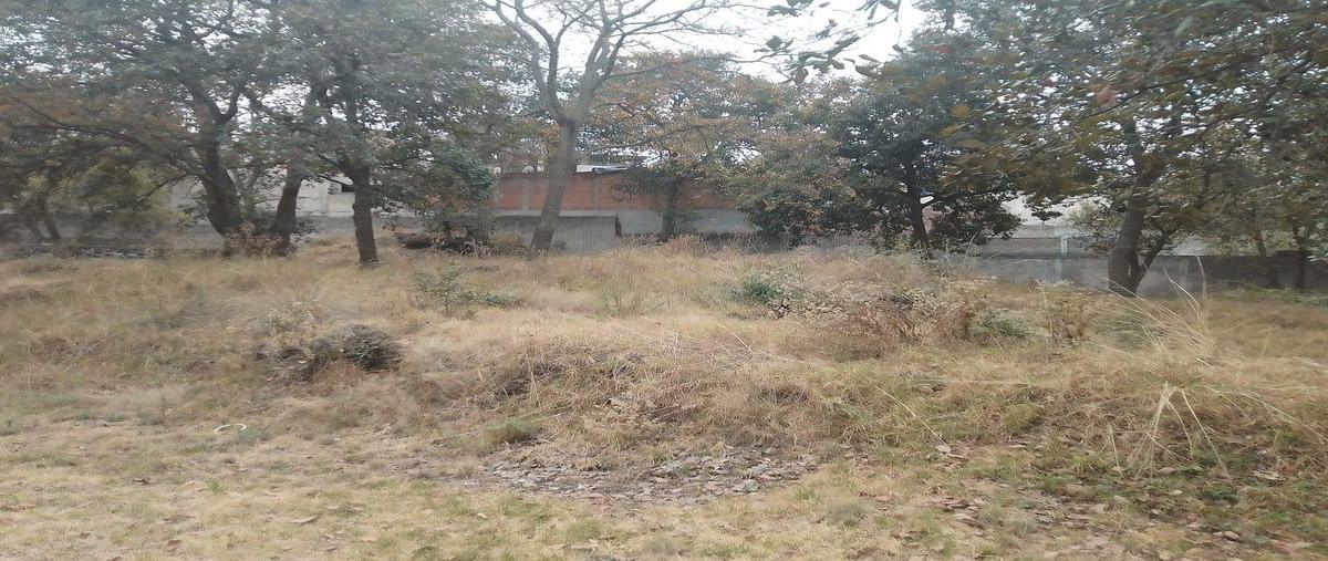 Foto de terreno habitacional en venta en encinos , cruz del farol, tlalpan, df / cdmx, 0 No. 04