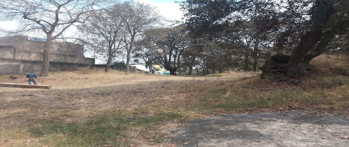 Foto de terreno habitacional en venta en encinos , cruz del farol, tlalpan, df / cdmx, 0 No. 05