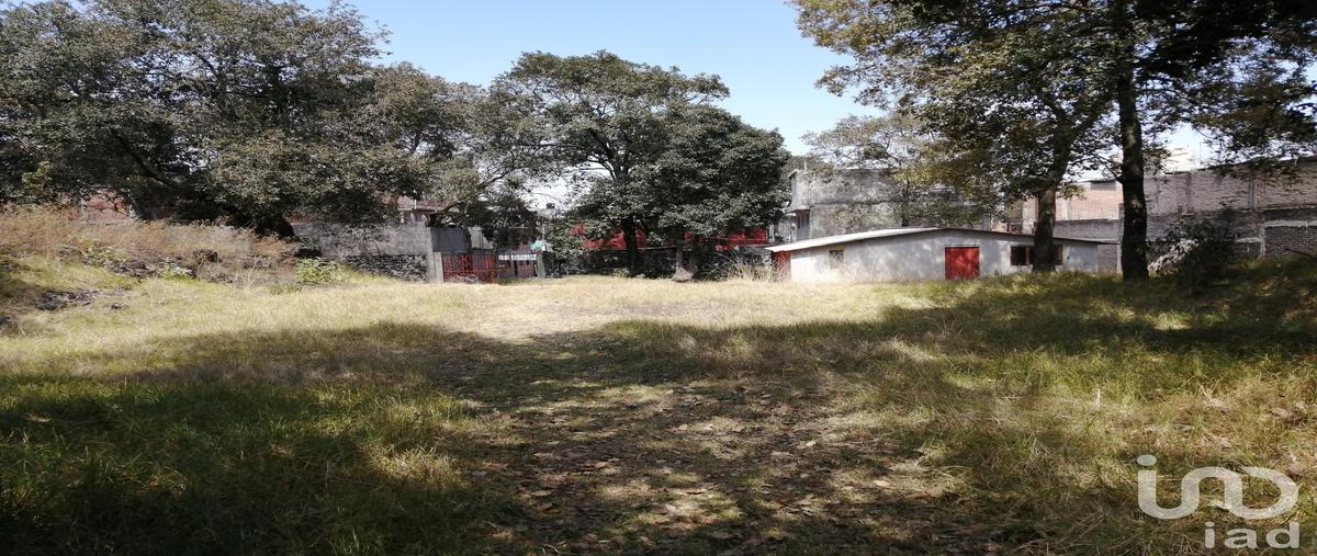 Foto de terreno habitacional en encinos , miguel hidalgo 4a sección, tlalpan, df / cdmx, 0 foto 02 Foto de terreno habitacional en venta en encinos , miguel hidalgo 4a sección, tlalpan, df / cdmx, 0 No. 02