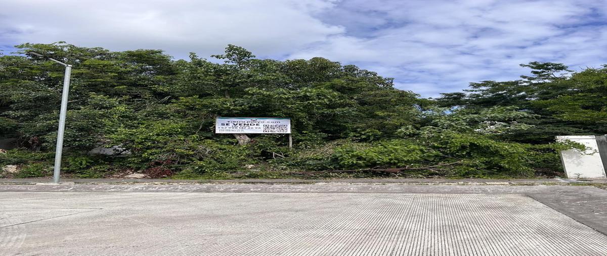Foto de terreno habitacional en venta en  , encuentro, solidaridad, quintana roo, 29059693 No. 03