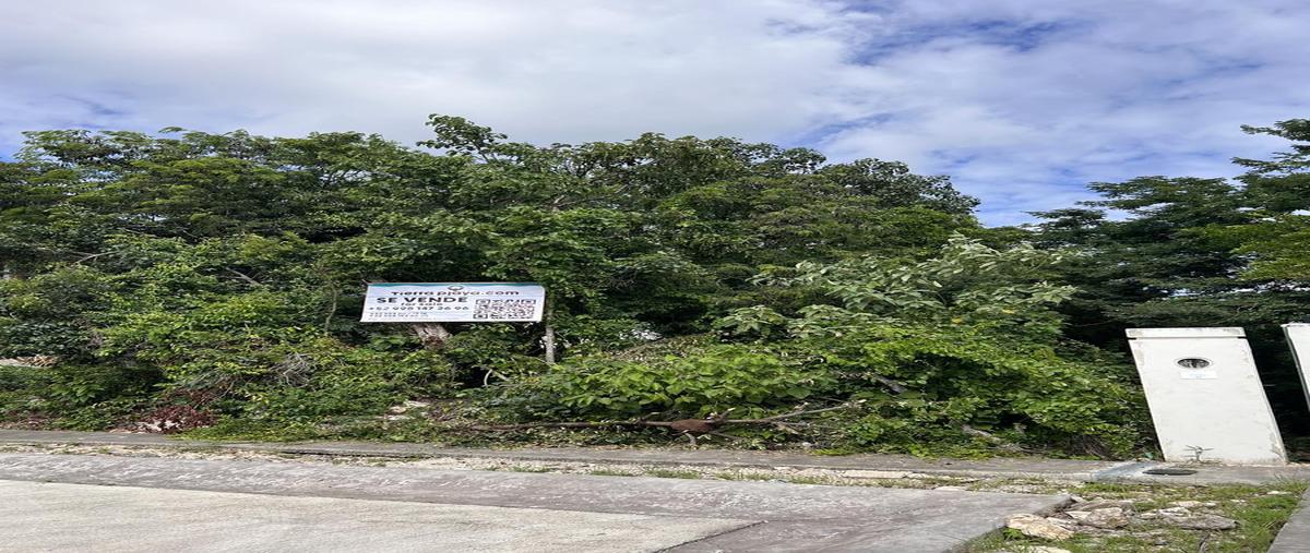 Foto de terreno habitacional en venta en  , encuentro, solidaridad, quintana roo, 29059693 No. 04