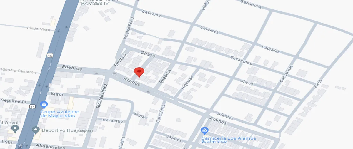 Foto de casa en venta en enebros 00, los álamos 1a. sección, heroica ciudad de huajuapan de león, oaxaca, 0 No. 04